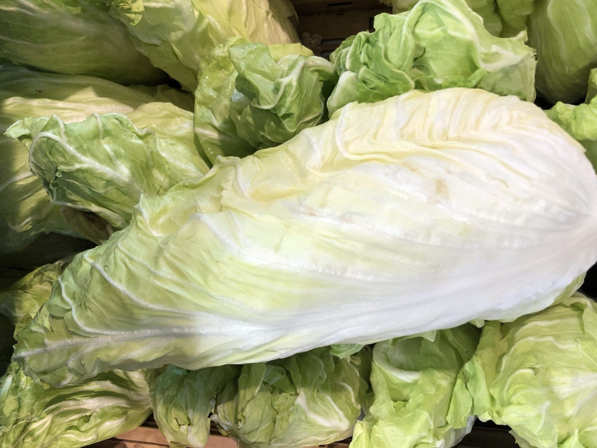 Cuisinez avec Hop'la : salade de pain de sucre