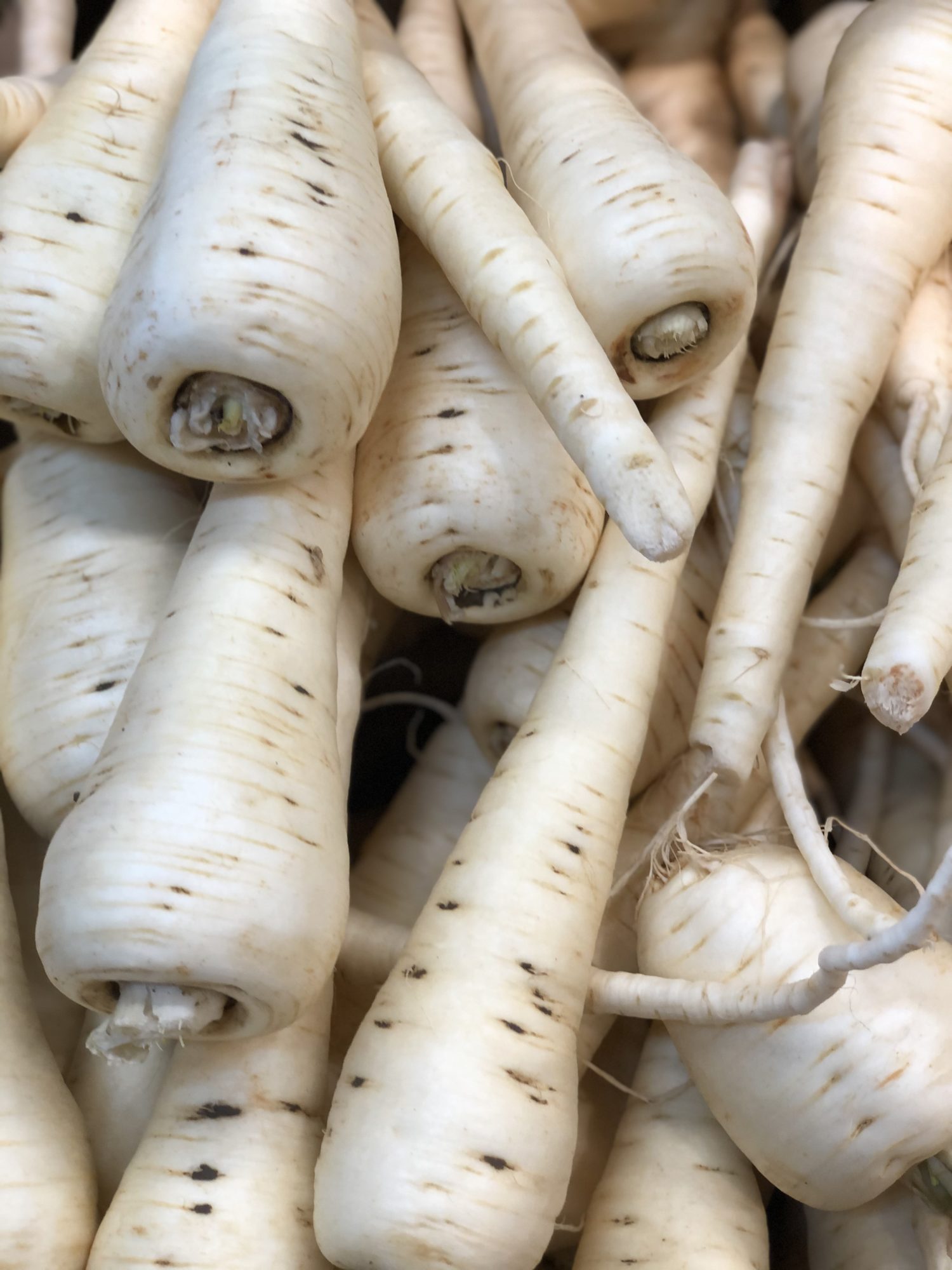La saison du panais et du chou kale est lancée La saison du panais et du chou kale est lancée