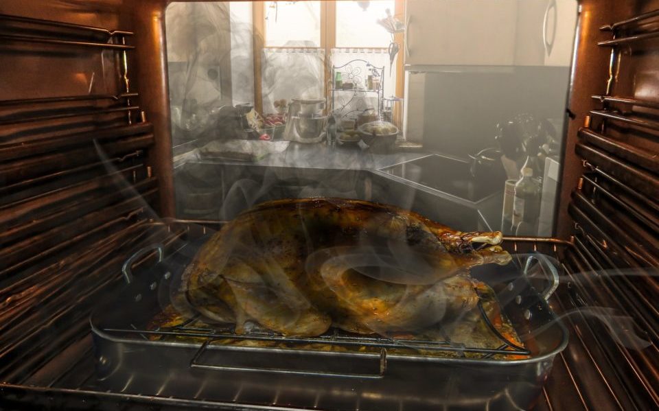 roast-goose-1044217_1920 roast-goose-1044217_1920